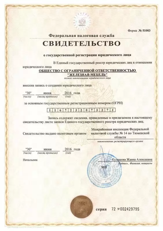 Свидетельство о государственной регистрации юридического лица - ООО "Железная Мебель"